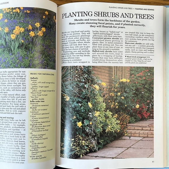 The Practical Gardener, Reader's Digest - Picture 4 of 16
